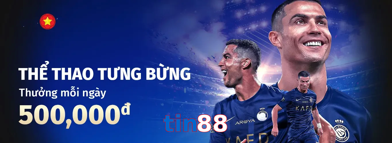 tin88