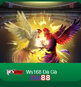 tin88